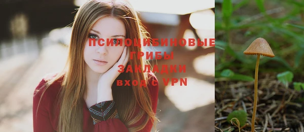 ГАЛЛЮЦИНОГЕННЫЕ ГРИБЫ Покачи